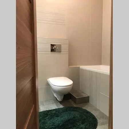 Kameralny Apartament Tuz Przy Krupowkach * Zakopane